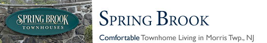 Township Village in Morris Twp NJ Morris County Morris Twp New Jersey MLS Search Real Estate Listings Homes For Sale Townhomes Townhouse Condos   Township Village Convent Station   Pitney Place Pitney Pl